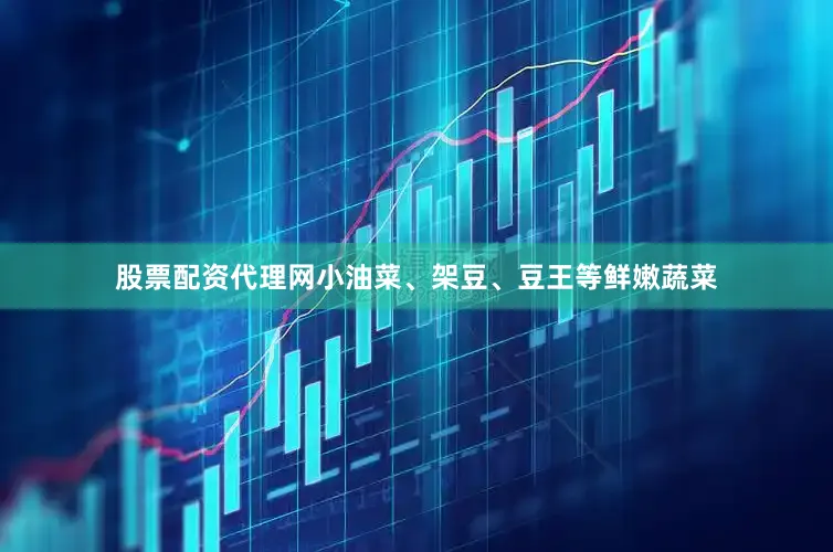 股票配资代理网小油菜、架豆、豆王等鲜嫩蔬菜