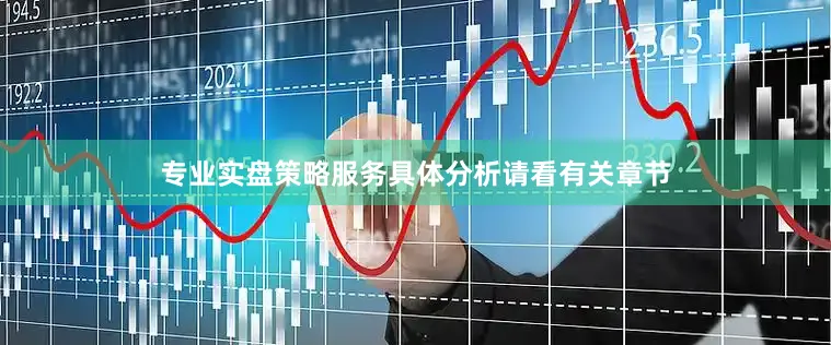 专业实盘策略服务具体分析请看有关章节
