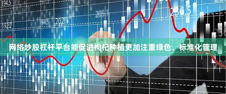 网络炒股杠杆平台能促进枸杞种植更加注重绿色、标准化管理